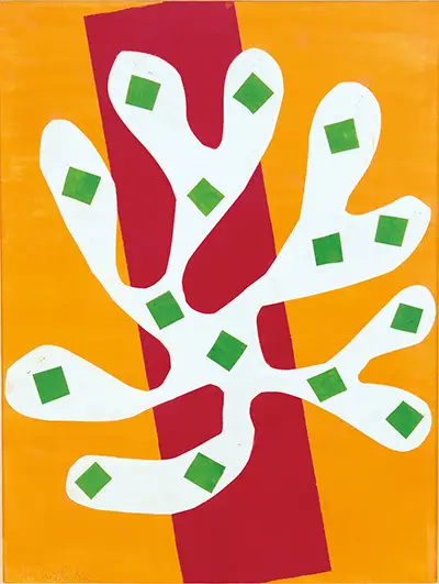 White Alga on Orange and Red Background Henri Matisse